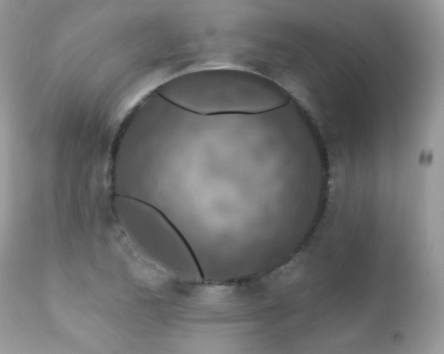X0000112461173200908171155