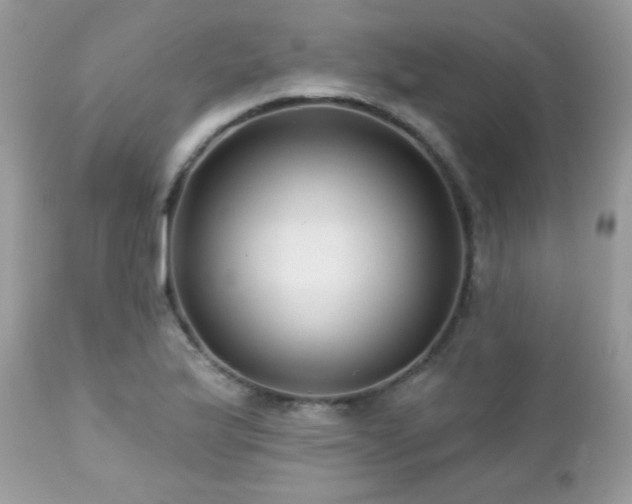 X0000112461175200908171155