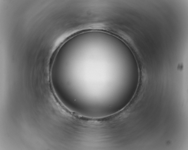 X0000112461176200908171155