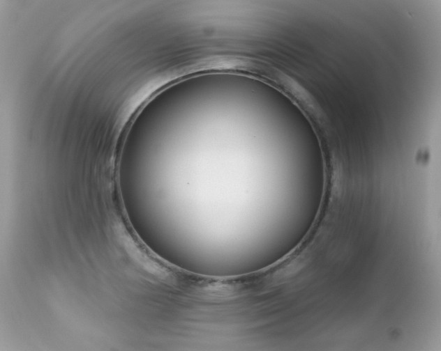 X0000112461178200908171155