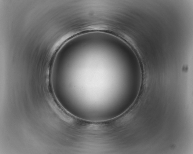 X0000112461179200908171155