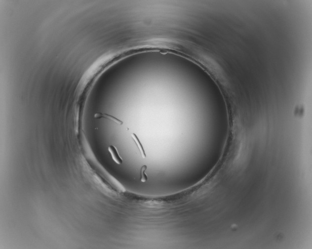 X0000112461180200908171155
