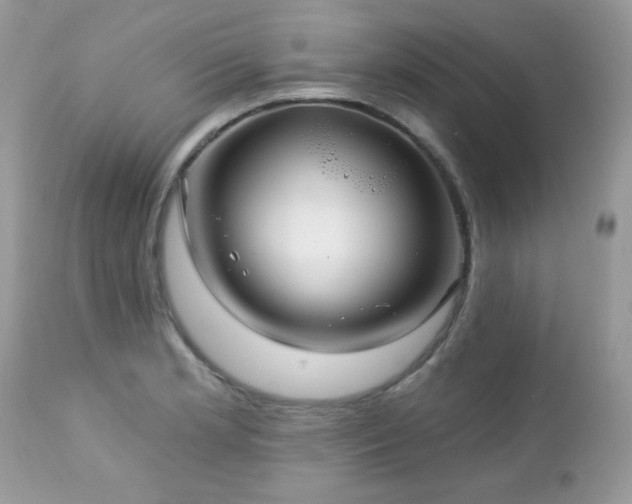 X0000112461181200908171155