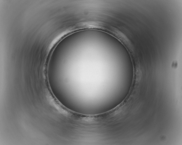 X0000112461182200908171155