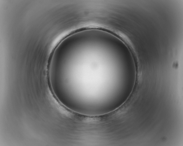 X0000112461183200908171155