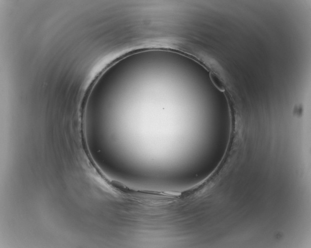 X0000112461184200908171155