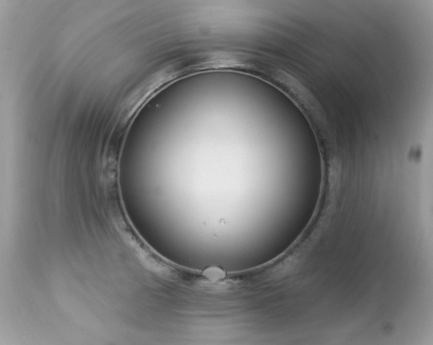 X0000112461185200908171155