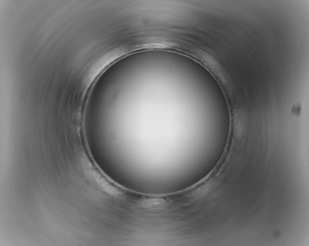 X0000112461186200908171155