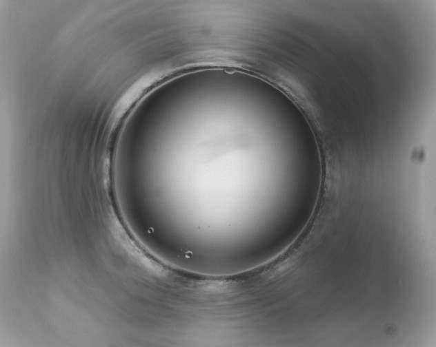 X0000112461188200908171155