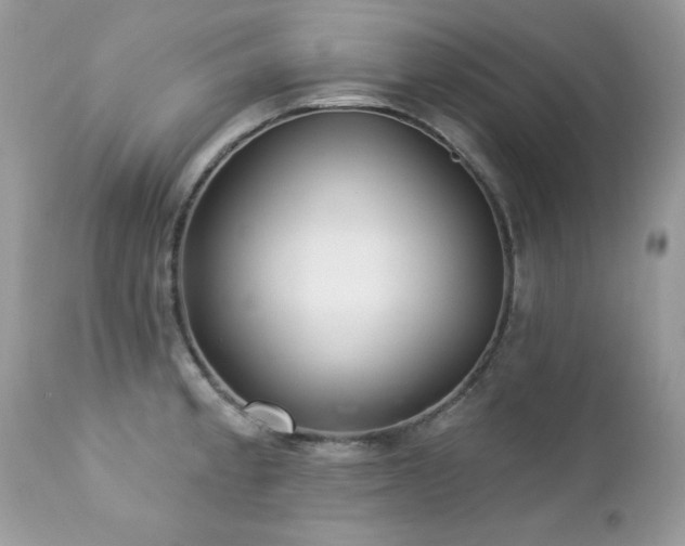 X0000112461189200908171155