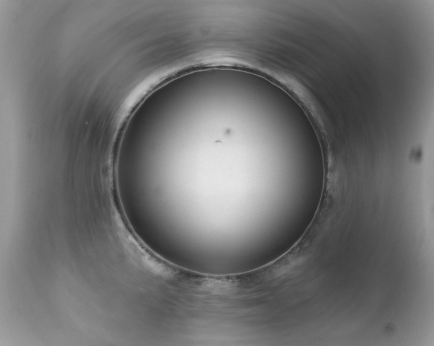 X0000112461191200908171155
