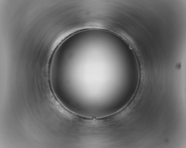 X0000112461192200908171155