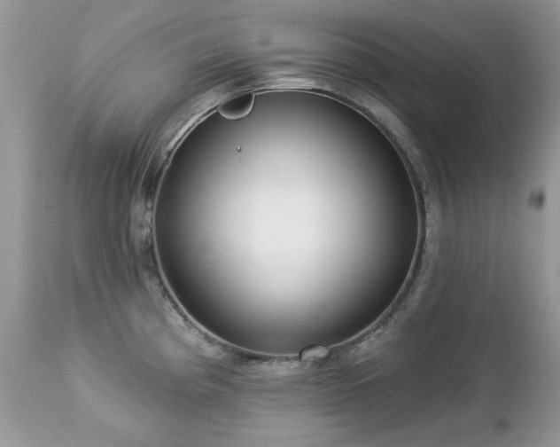X0000112461193200908171155