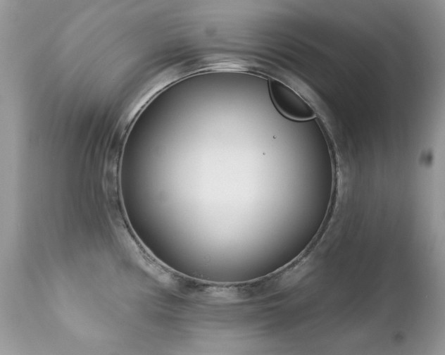 X0000112461194200908171155