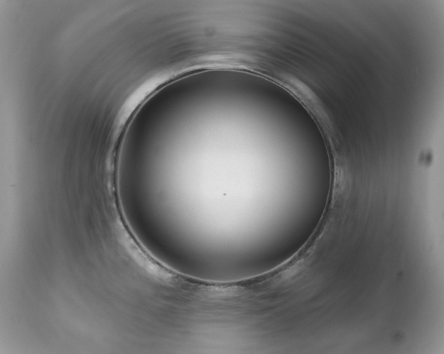 X0000112461196200908171155
