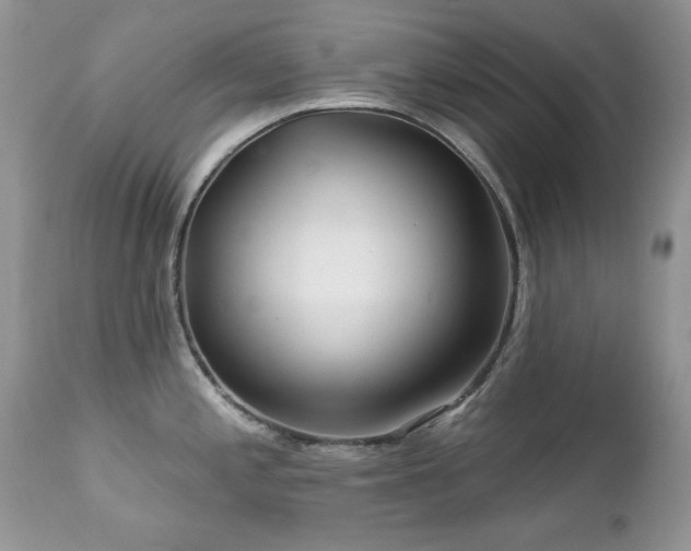 X0000112461197200908171155