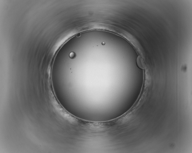 X0000112461198200908171155