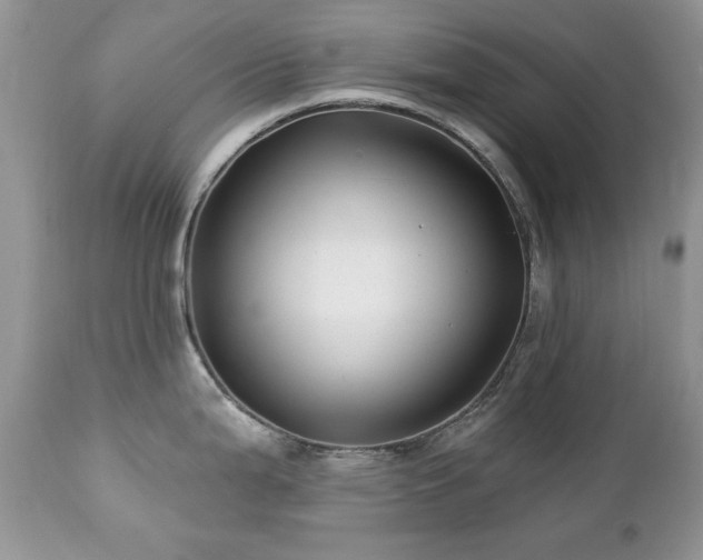 X0000112461199200908171155