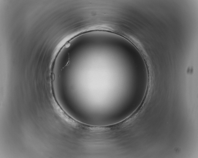 X0000112461200200908171155
