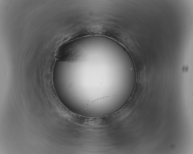 X0000112461201200908171154