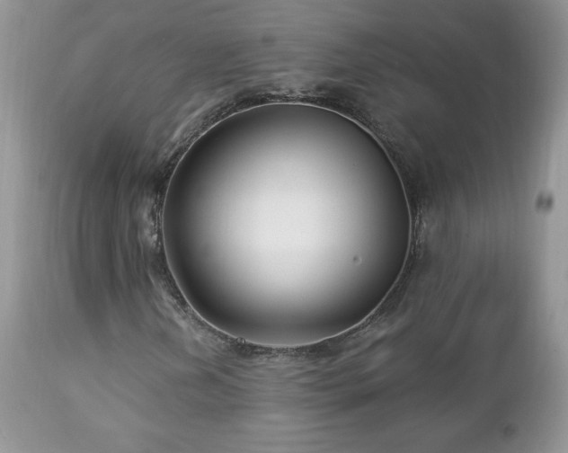 X0000112461202200908171154