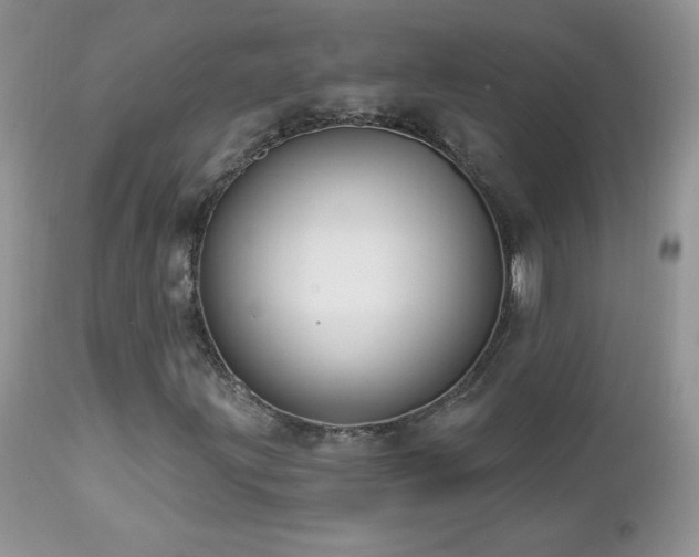 X0000112461203200908171154