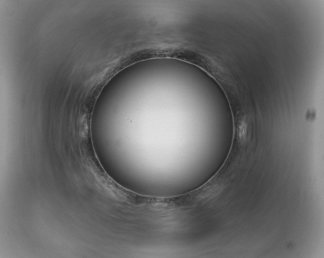 X0000112461204200908171154