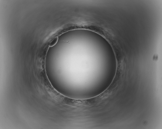 X0000112461205200908171154