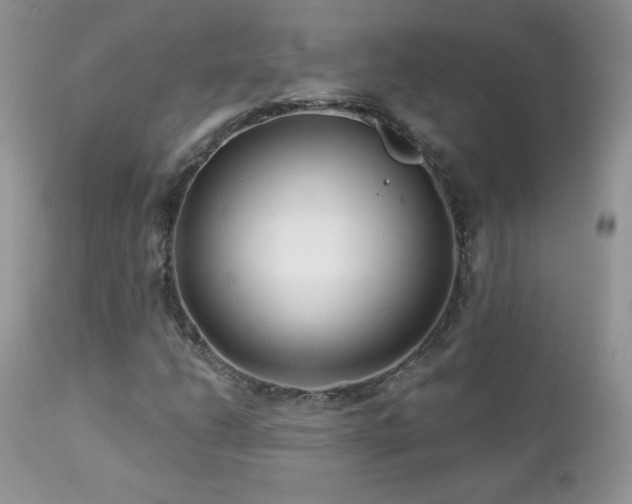 X0000112461206200908171154