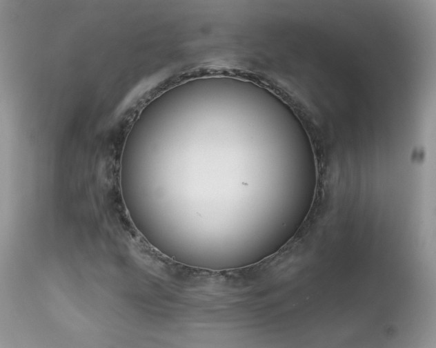 X0000112461207200908171154