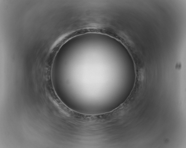 X0000112461208200908171154