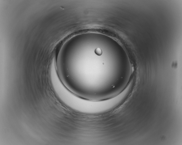 X0000112461209200908171154