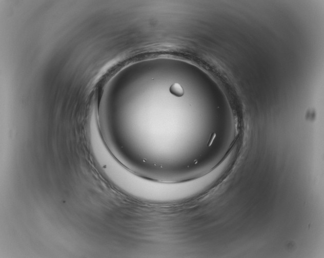 X0000112461210200908171154