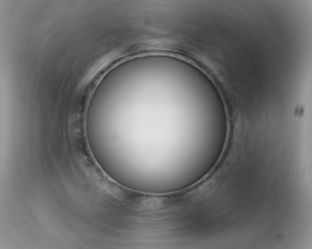 X0000112461211200908171154