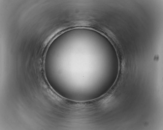 X0000112461212200908171154