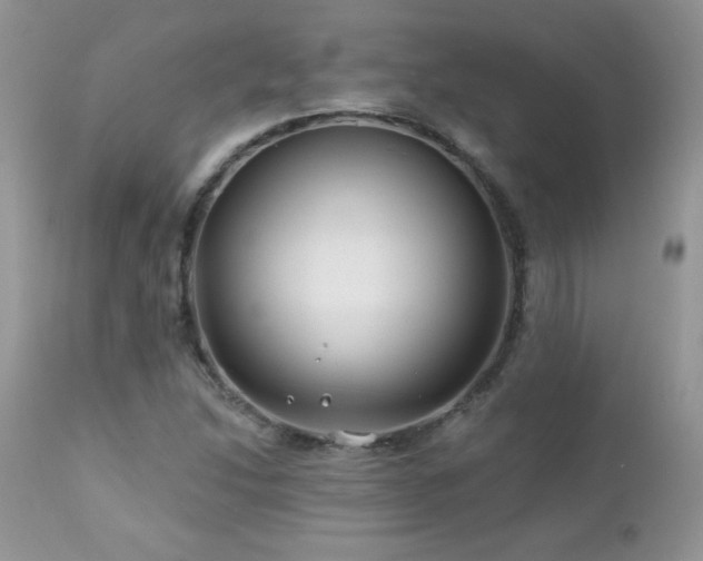 X0000112461214200908171154