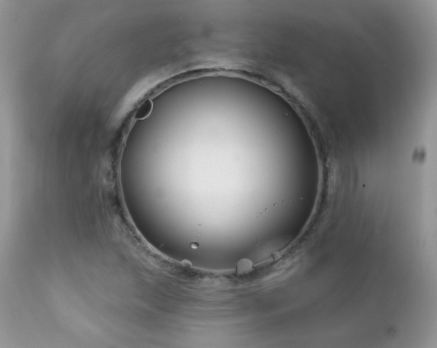 X0000112461215200908171154