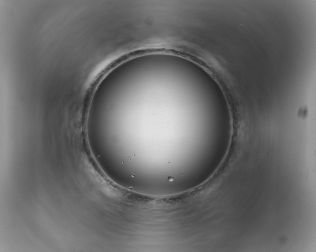 X0000112461216200908171154