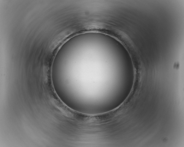 X0000112461217200908171154