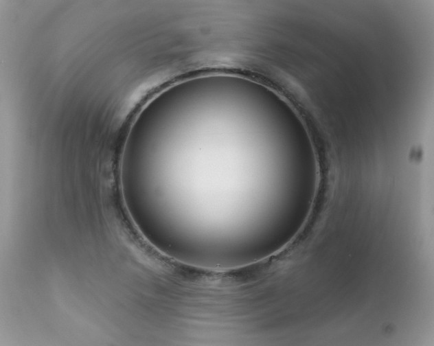 X0000112461218200908171154