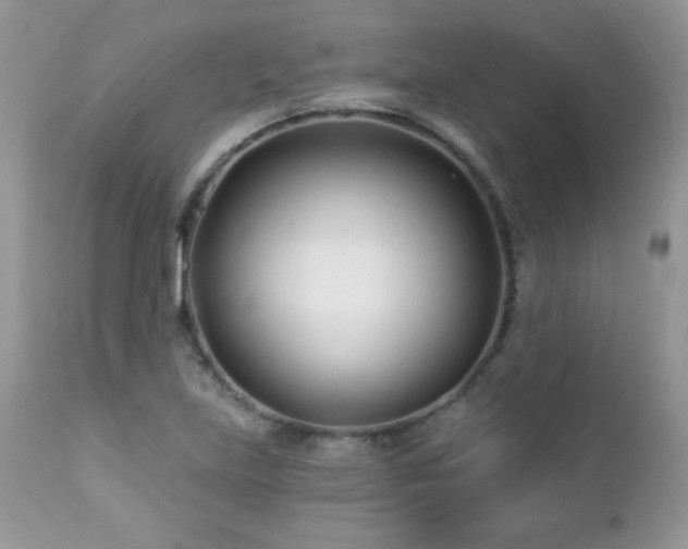 X0000112461219200908171154