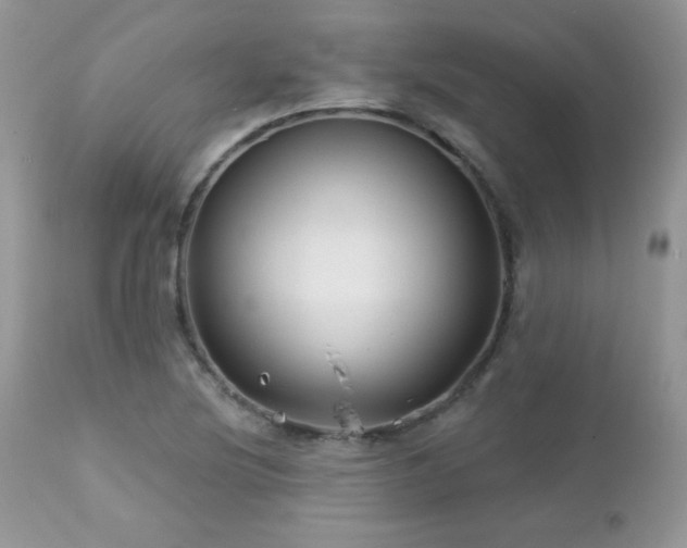 X0000112461220200908171154