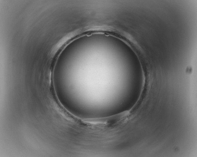X0000112461221200908171154