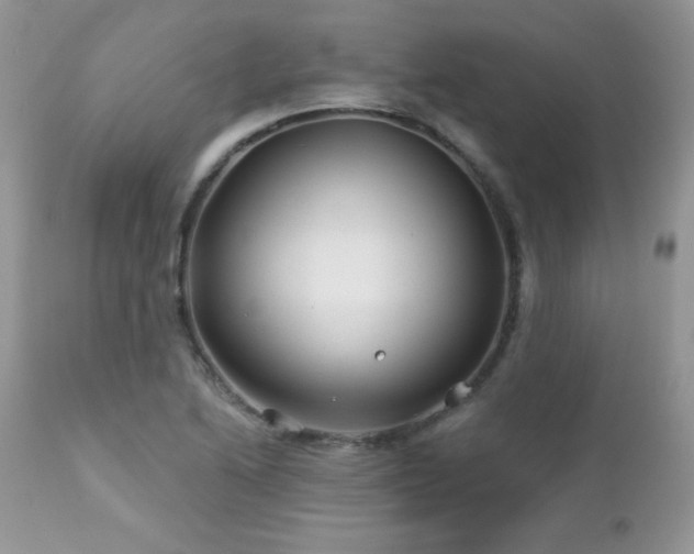 X0000112461222200908171154