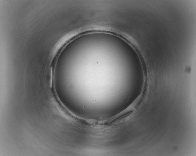 X0000112461223200908171154