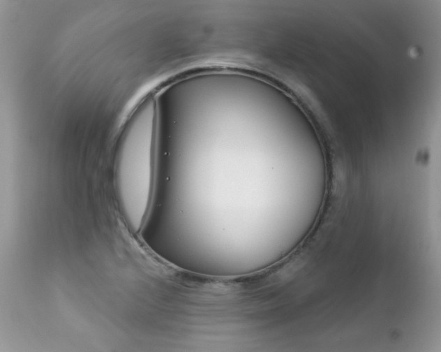 X0000112461224200908171154