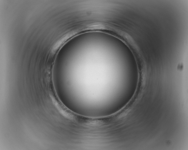 X0000112461225200908171154