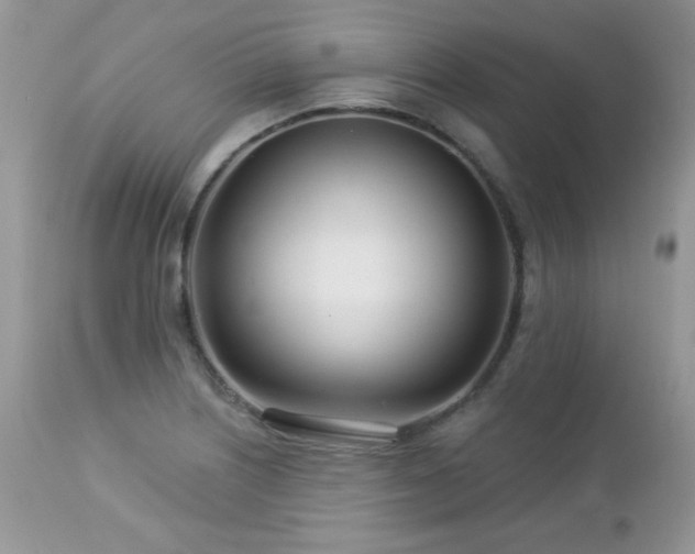 X0000112461226200908171154