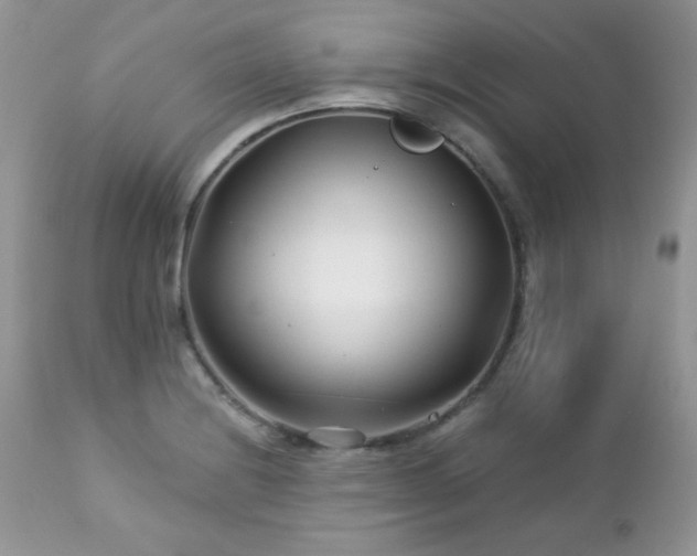 X0000112461228200908171154