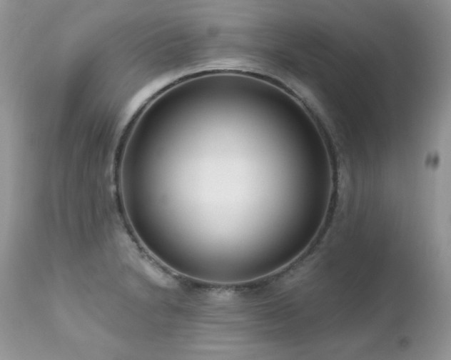 X0000112461230200908171154